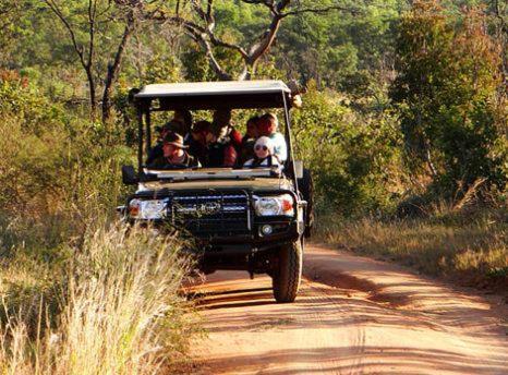 Metsi Lodge Welgevonden Game Reserve Exterior foto